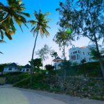 vipingo 2