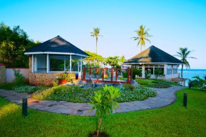 vipingo 3