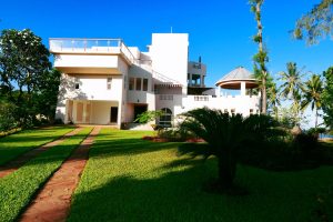 vipingo 4